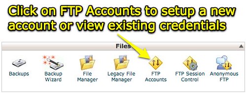 cPanel X - FTP Accounts