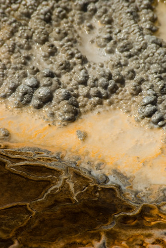 amorphous silica gel. amorphous silica. amorphous silica sinter. at the anemone geyser