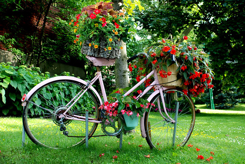 Bicycle + Plants = Going Green by Mohan.M..