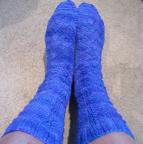 Dragonfly socks 2