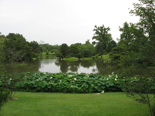 MO Botanical Garden