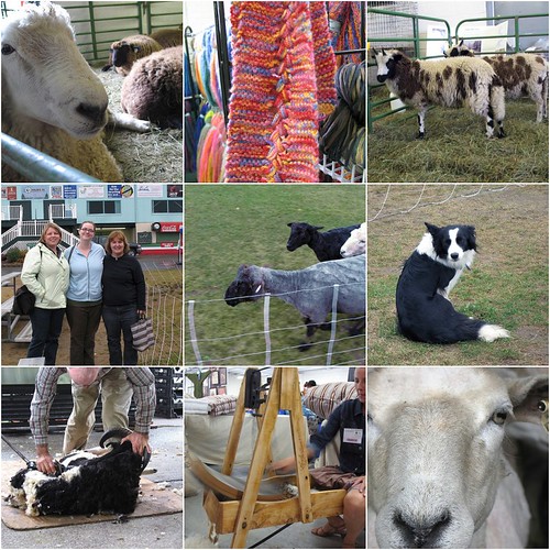 VT Sheep & Wool '07