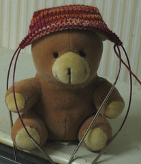 Teddy Models the Sock Toe 070107