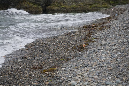 Stony beach: Get it stones? Throwing of them.......