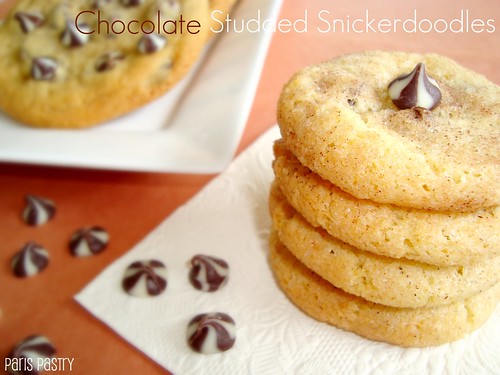 Chocolate Studded Snickerdoodles