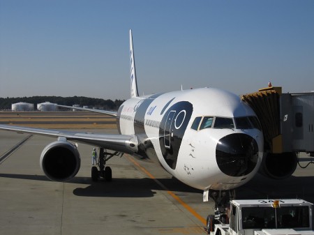 Panda airplane @ Narita, Japan