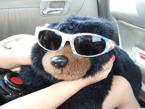 Bear, with glasses