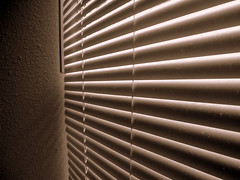 Dusty Blinds