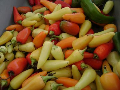 peppers at the public market