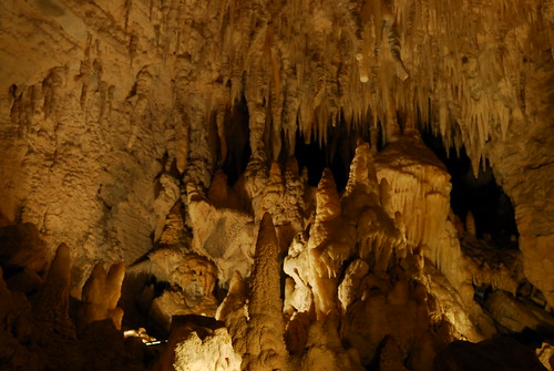 Waitomo Caves & Glow Worms