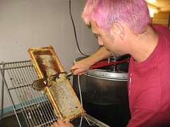 Beekeeping 2641