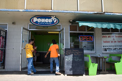 Pongo's