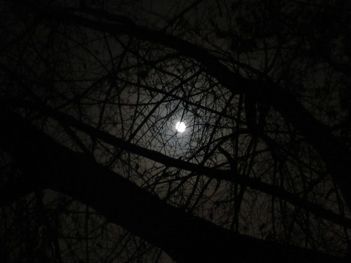 Hazy moon over Samara ©  Vlad Volkov