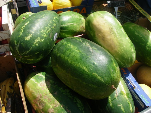 Watermelons, Islington