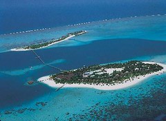 Thumb Skydiving en las Islas Maldivas