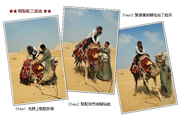 camel-riding