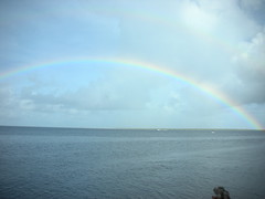 Bonaire rainbow