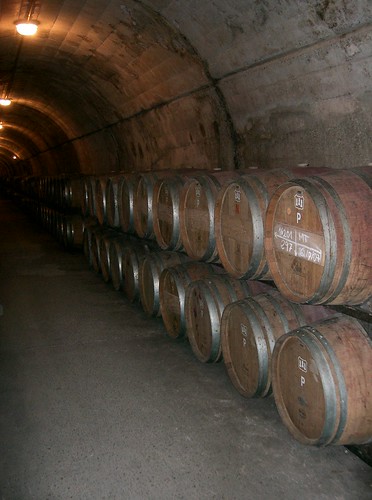 Barrels of wine por robski57.