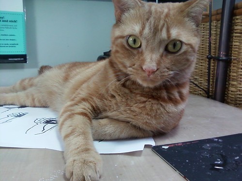 Stanley cat is helping with my artwork