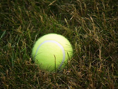 Tennis Ball in Grass