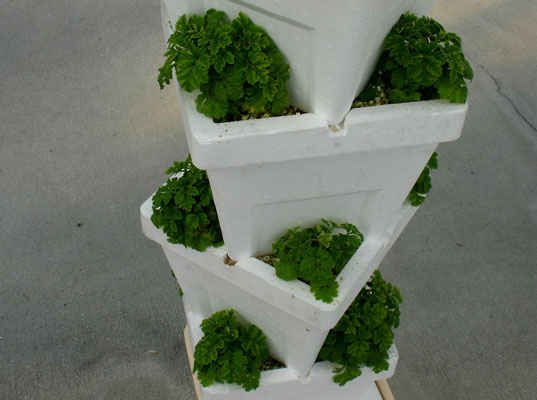 Styrofoam in Epcott Sustainable Agriculture Exhibit
