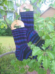 Socks in trees