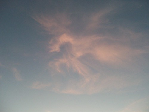 pegasus in the sky