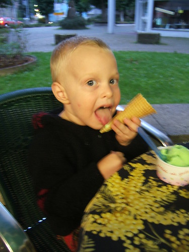 Max, eating the cone, leaving the ice cream in his dish