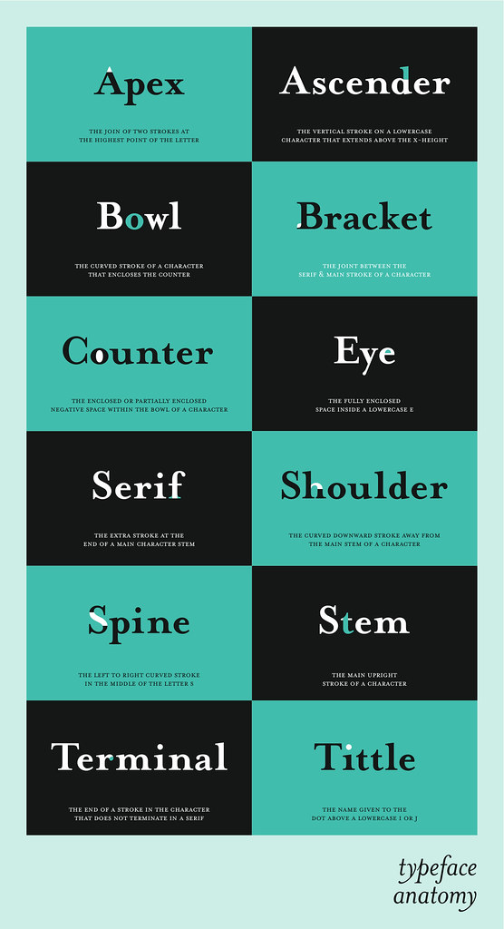 Typeface Terminology