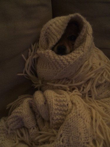 Mina in swaddling clothes II