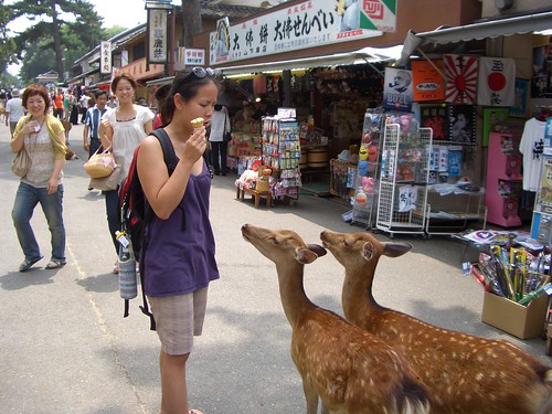 Two deer wanting ice cream