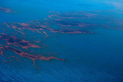 20100618-tedx-oil-spill-1193