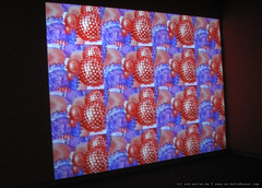 documenta 12 | Churchill Madikida / Virus | 2005 | Neue Galerie