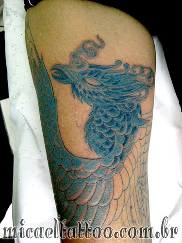 Tatuagem Fenix Azul Blue Phoenix Tattoo Segunda sess o
