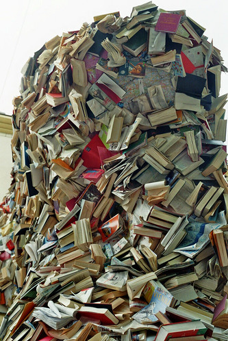 Alicia Martin: Biografias - Cascade of books by library_mistress, on Flickr
