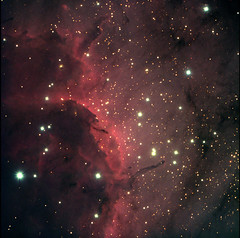 Pelican Nebula, taken at WIRO