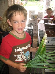 Pete with scallions