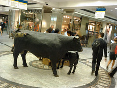 Byron Bull in Cabot Place