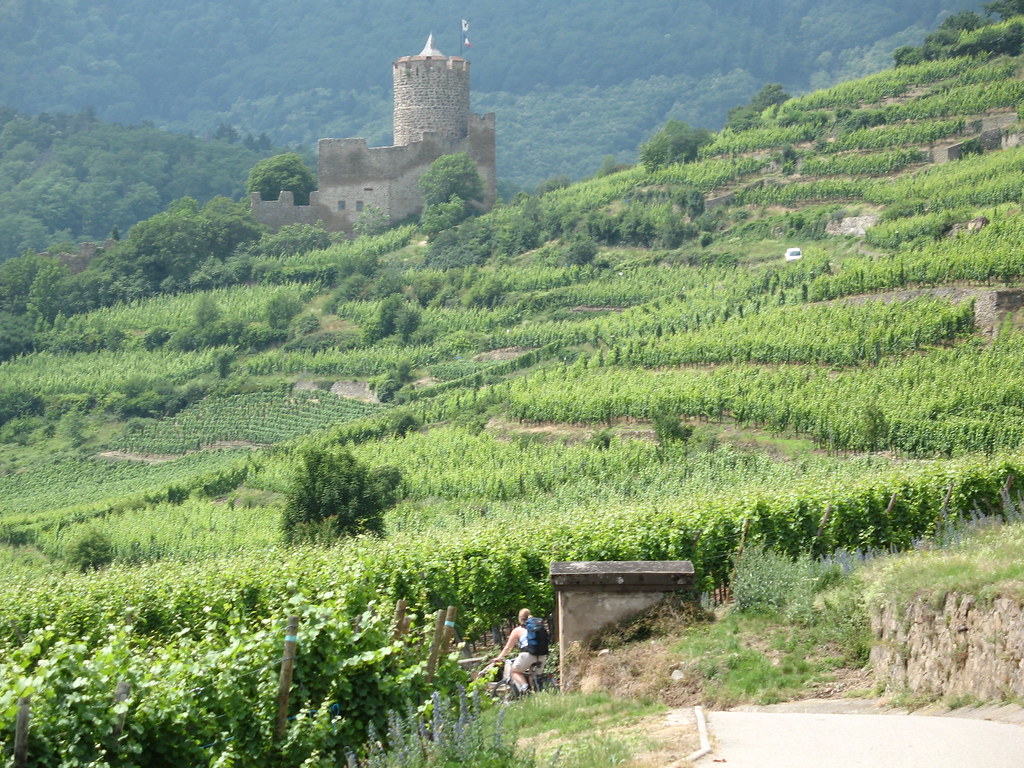 20070613 Route du vin-244