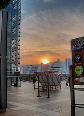 Sunset at Tokyo BIG SIGHT