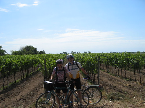 Us by a vineyard