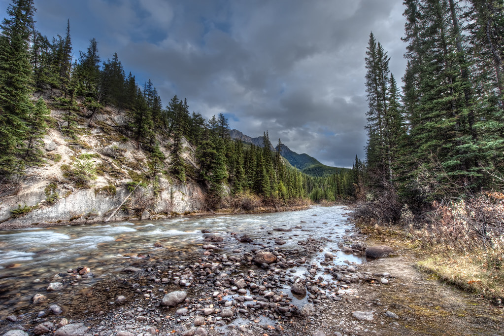 A creek near Banff, Alberta.