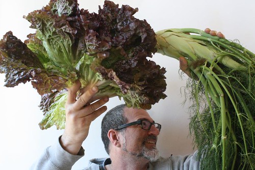 that lettuce is bigger than your head.