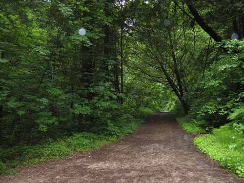 Western end of Purisima Creek Trail