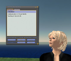 Learning and Teaching in Second Life