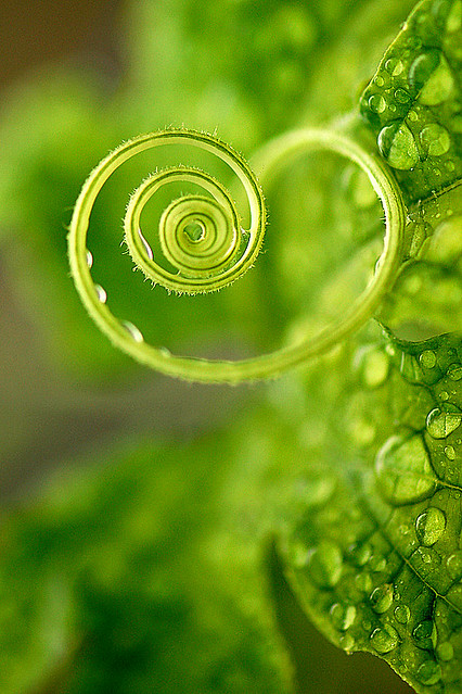 A green heart for you !! have a sweet and nice weekend.