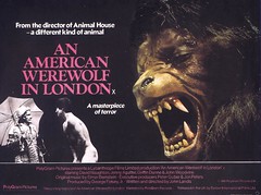 american werewolf (by senses working overtime)