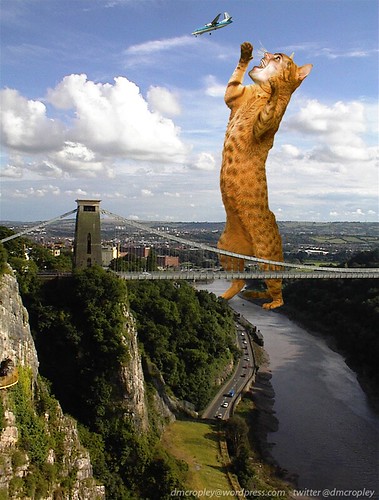 Dave Cropley/Clifton Suspension Bridge Big Cat Sighting