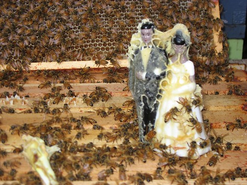 Beekeeping 2316