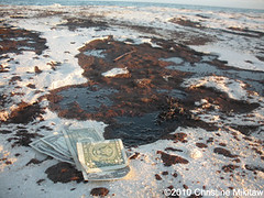 BP OIL SPILL Disaster